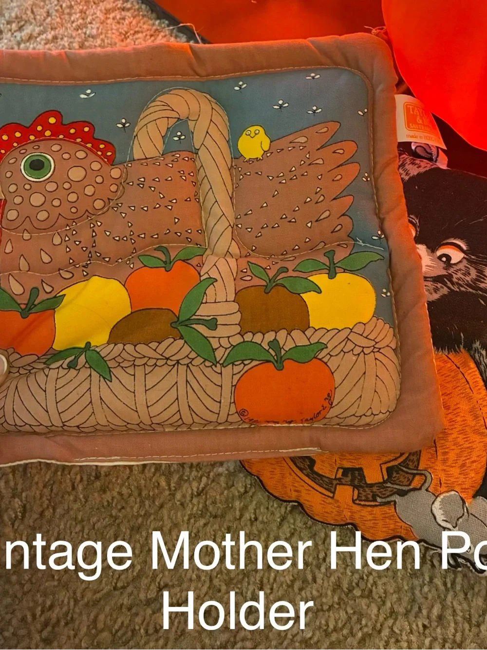 Vintage Mother Hen Pot Holder